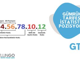 gtip nedir