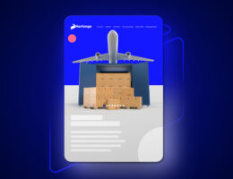 ddp tasima sekli nedir